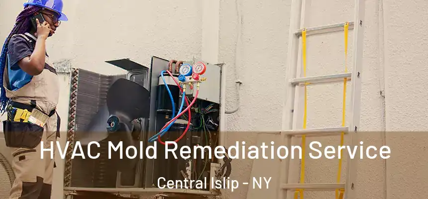  HVAC Mold Remediation Service Central Islip - NY