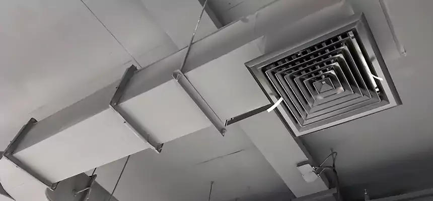 Restorative Allergy Relief Vent Cleaning – Coil, Blower & Housing Detail in Central Islip