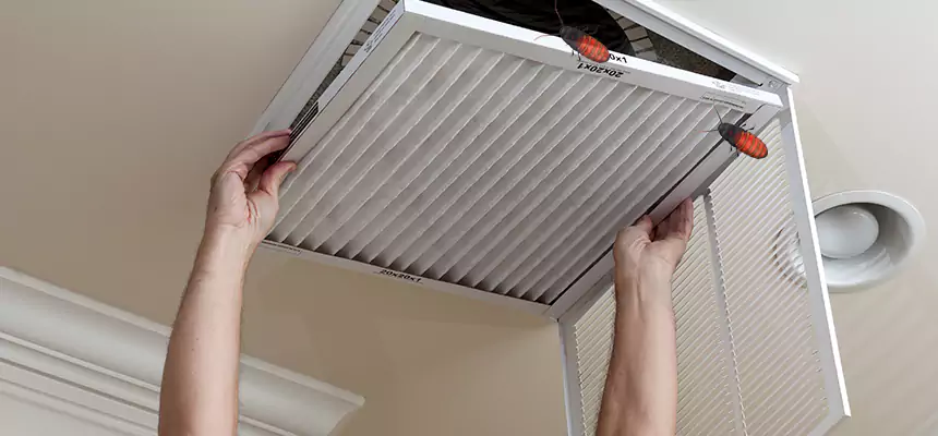 Our Insect Removal from Air Ducts Services in Central Islip, NY