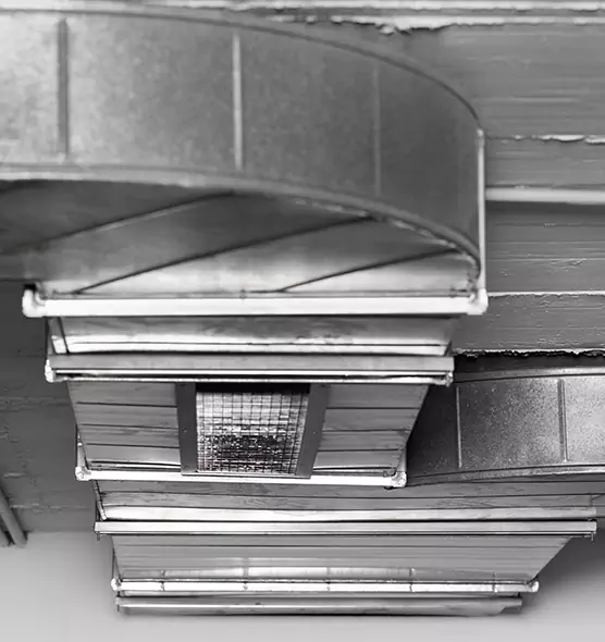 Professional Air Duct Pest Removal in Central Islip, NY