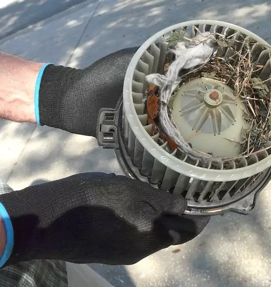 About Air Duct Rat Removal in Central Islip, NY