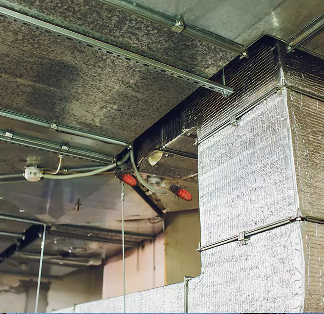 Why Homeowners & Businesses Trust Us in Central Islip, NY?