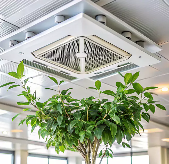 Why Homeowners & Businesses Trust Us in Central Islip, NY?